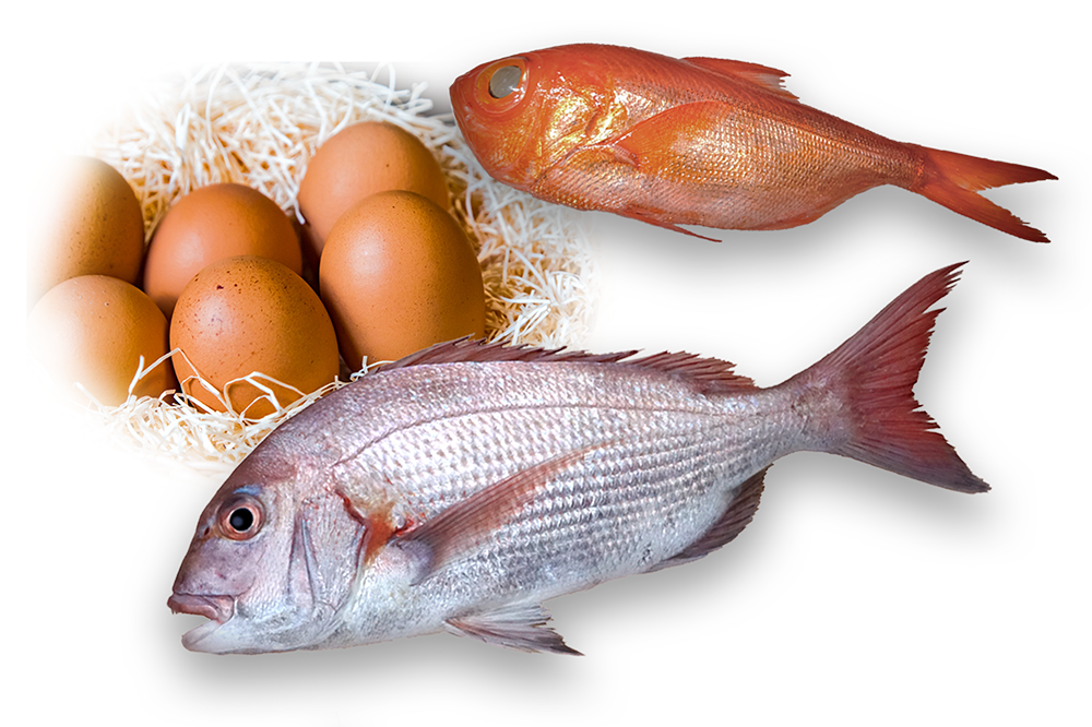 こだわりの素材